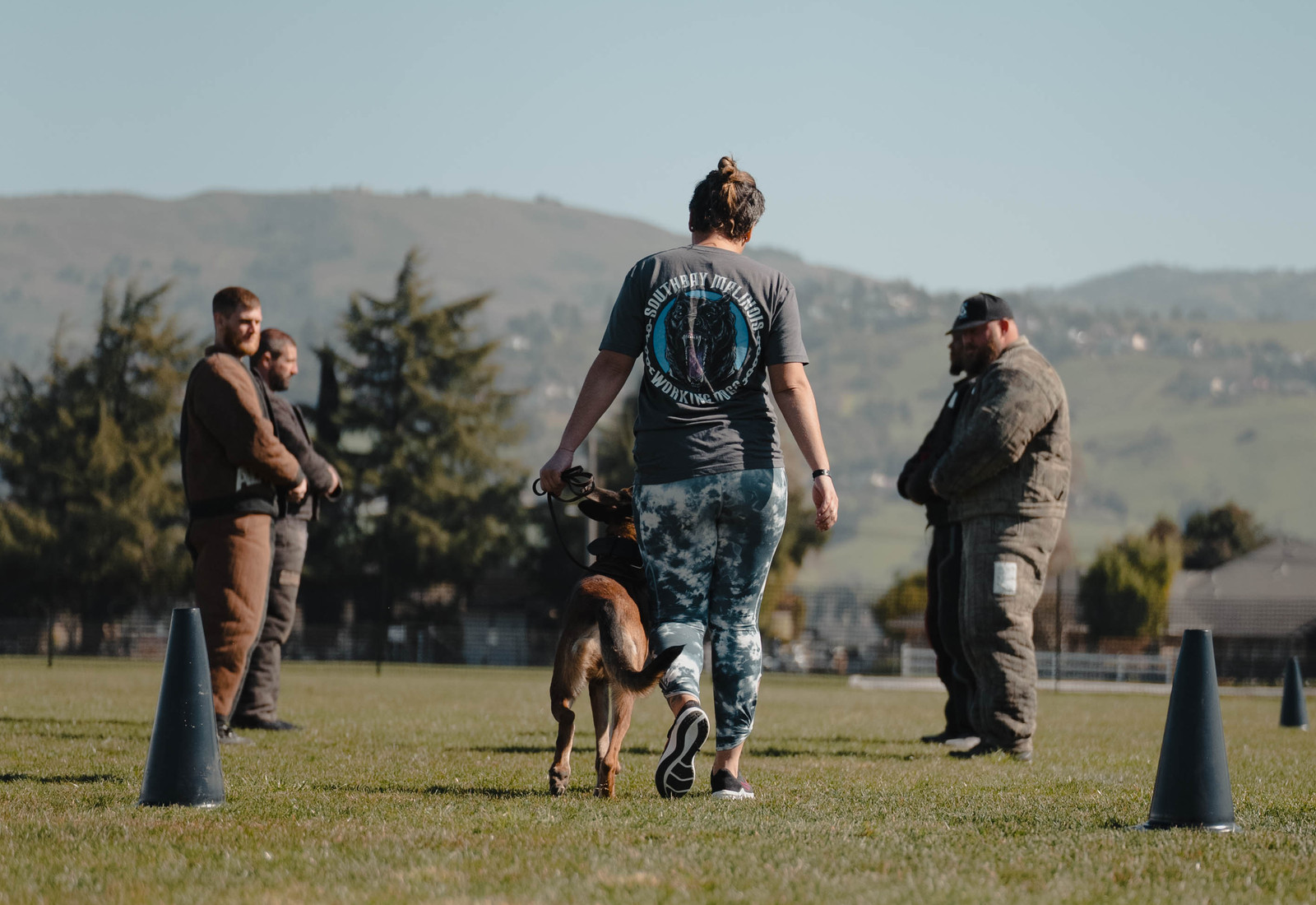 Get Wise K9 trainer working with a dog in Houston